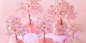 Fengshui Peach Blossom Plan